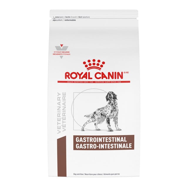 Croquetas para perro Royal Canin Gastrointestinal 13kg