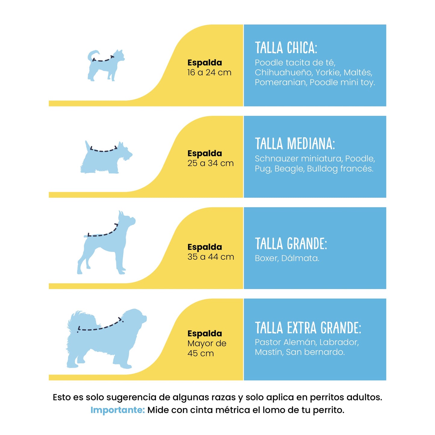 Desparasitación para Perro y Gato a Domicilio