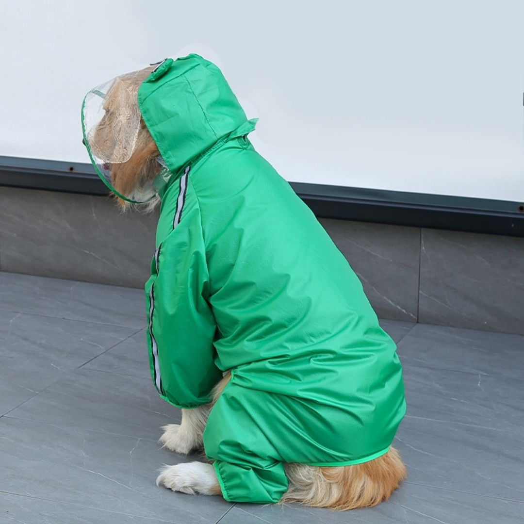 Gabardina para proteger a tu perro de la lluvia con diseño de rana