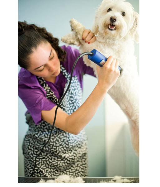 Maquina Rasuradora Andis Ultra Edge Vel Profesional para Perro y