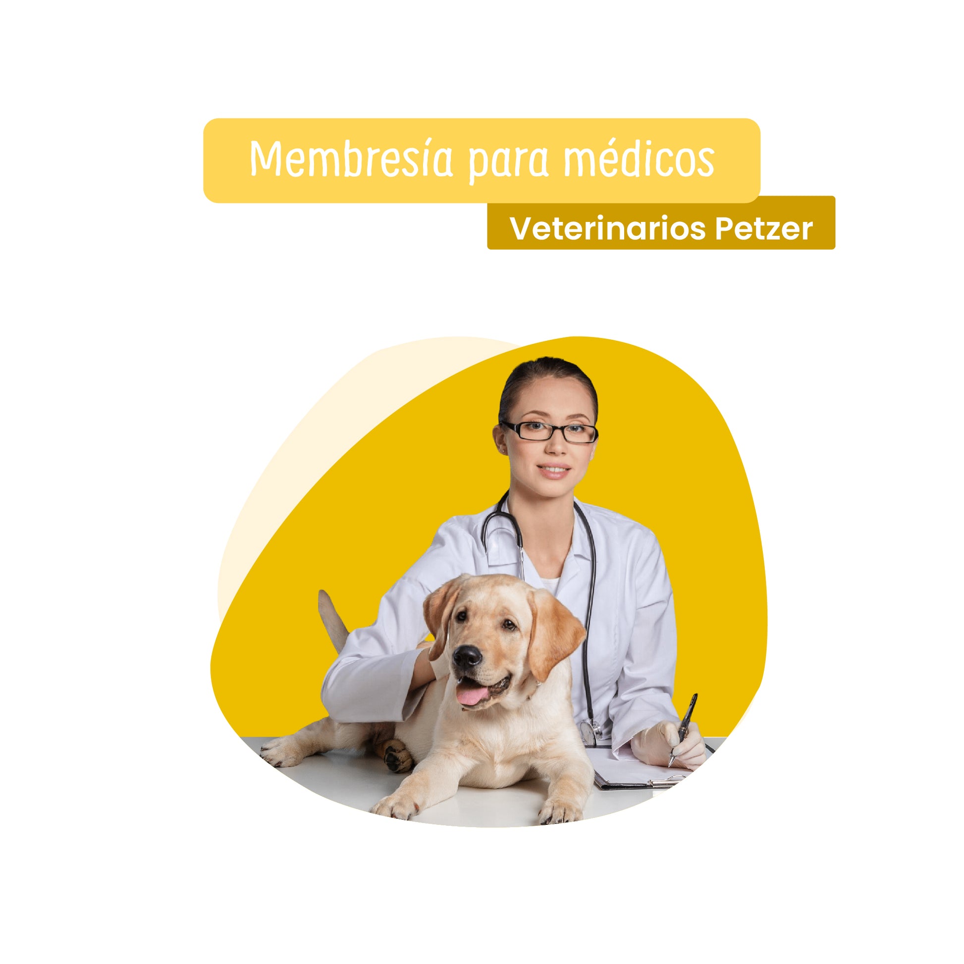 Membresía Petzer para Médicos Veterinarios | Herramientas y Beneficios Exclusivos | Petzer