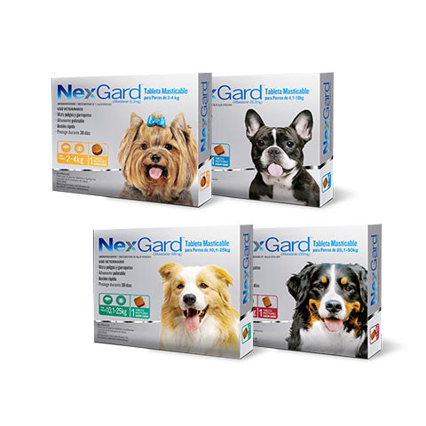 Nexgard Antipulgas Masticable Desparasitante Para Perro | Farmacia a domicilio CDMX | Petzer