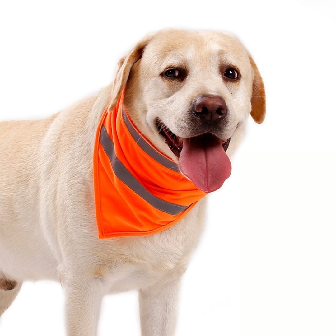 Pañoleta Naranja para Perro con Franja Reflectante