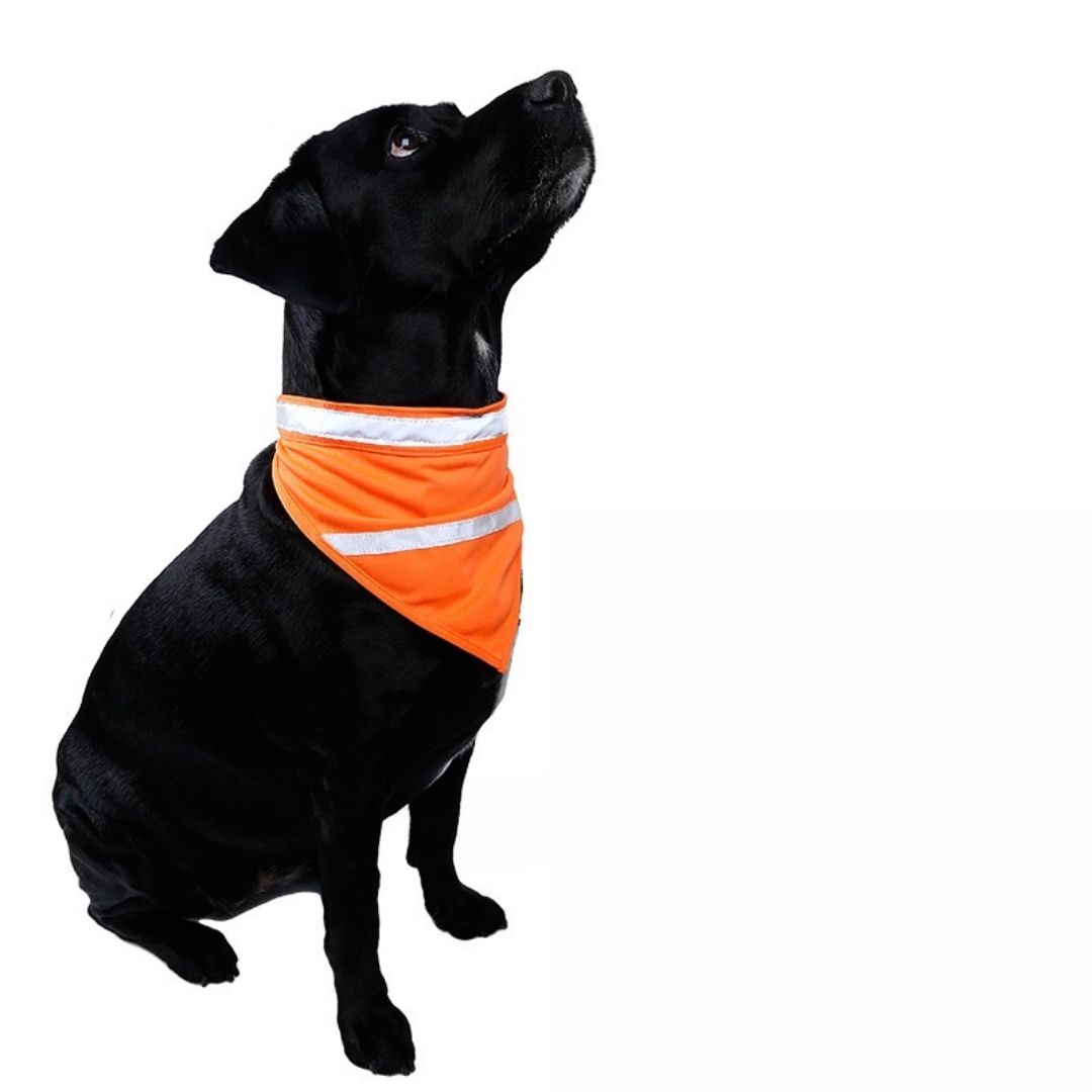 Pañoleta Naranja para Perro con Franja Reflectante