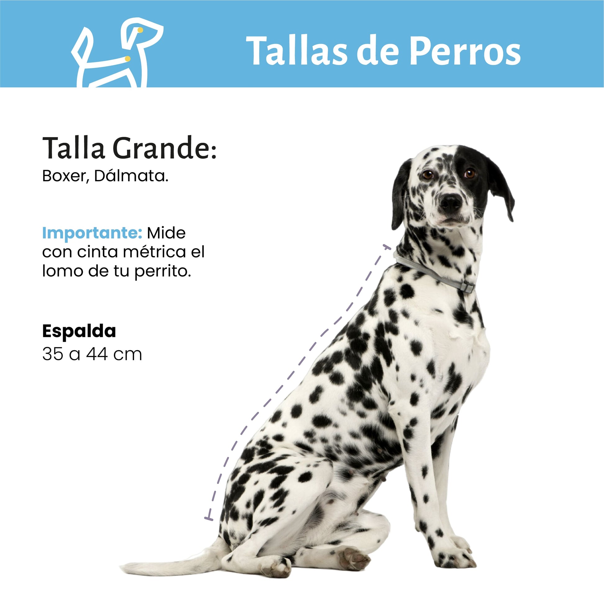 Profilaxis Dental a Domicilio para Perro Talla Grande