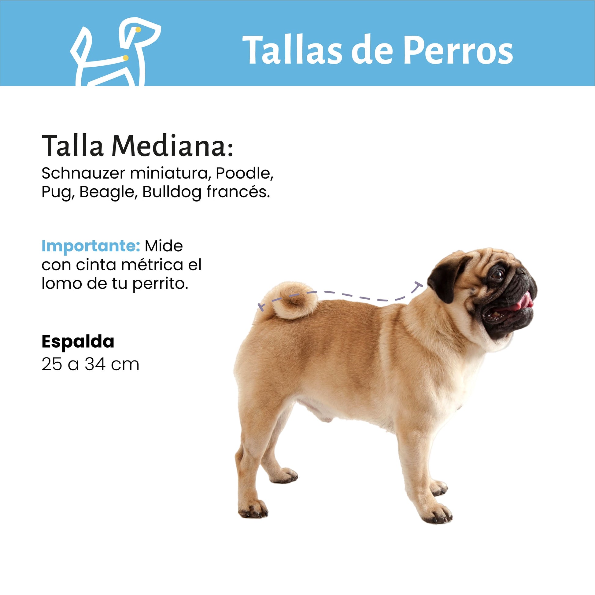 Profilaxis Dental a Domicilio para Perro y Gato Talla Mediana