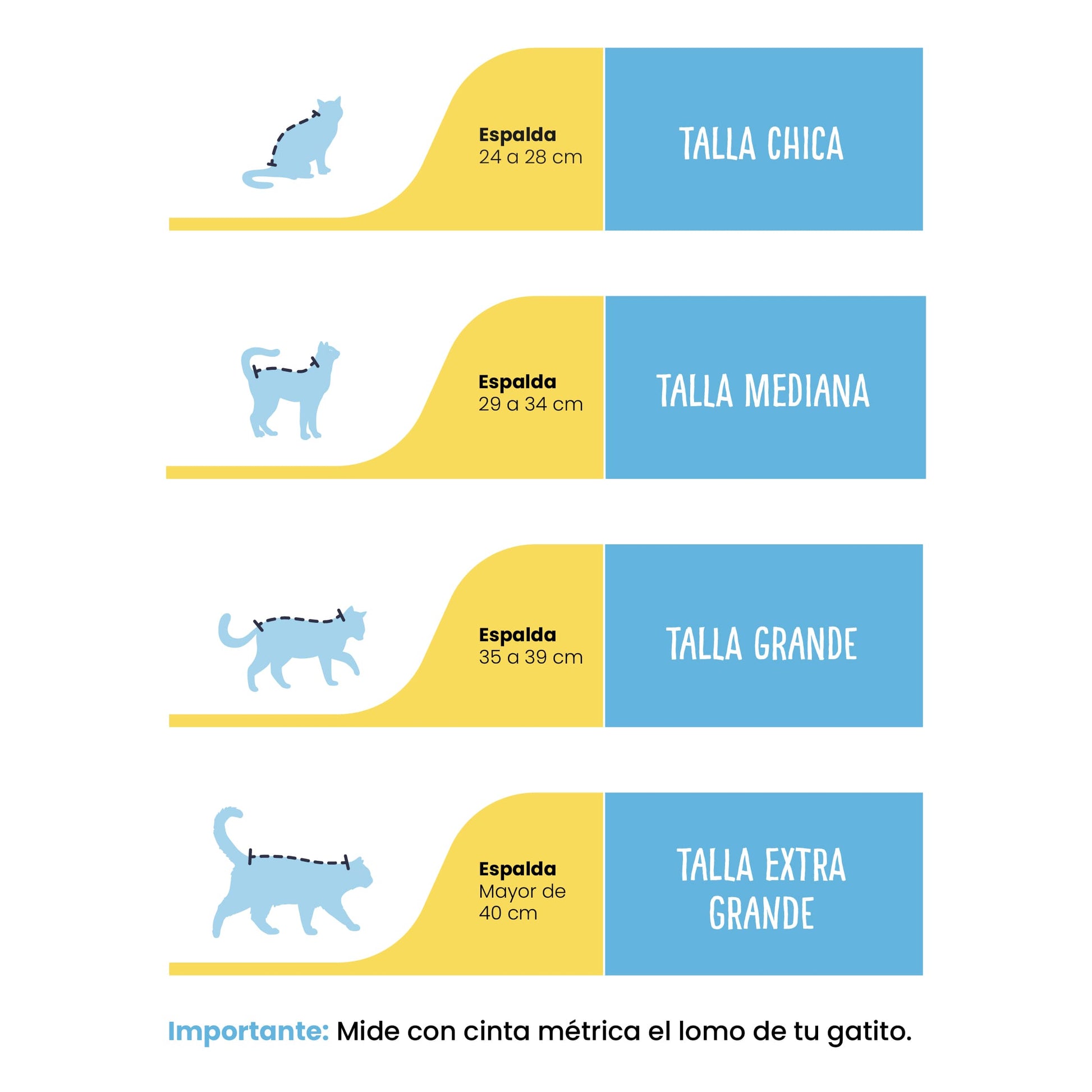 Profilaxis Dental a Domicilio para Gato