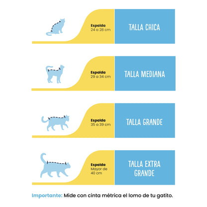 Profilaxis Dental a Domicilio para Gato