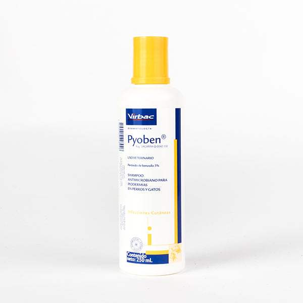 Shampoo Pyoben