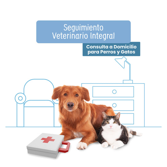 Seguimiento Veterinario Integral: Consulta a Domicilio para Perros y Gatos