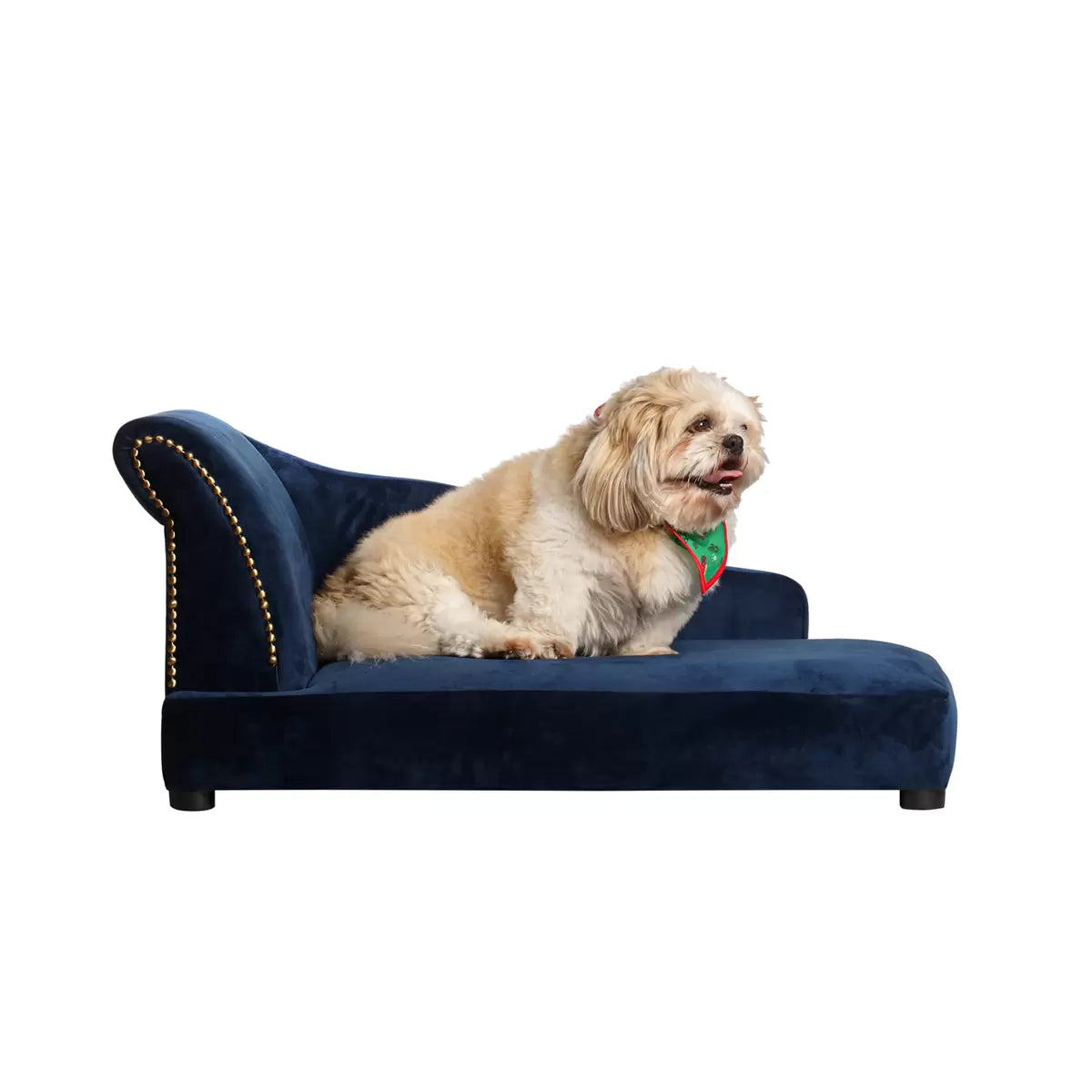 Sillón Cleopatra para Perro y Gato de Terciopelo y Madera de Pino