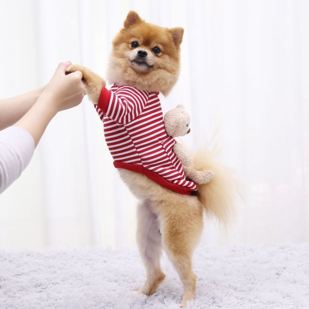 Sudadera para perro y gato de rayas con osito de peluche