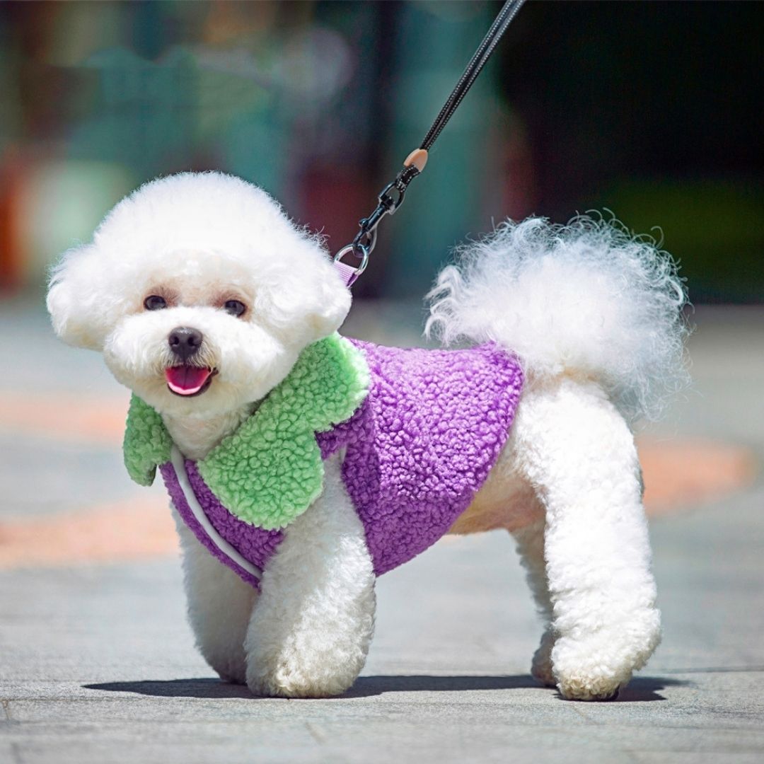 Sueter estilo abrigo para perro pequeño modelo uva