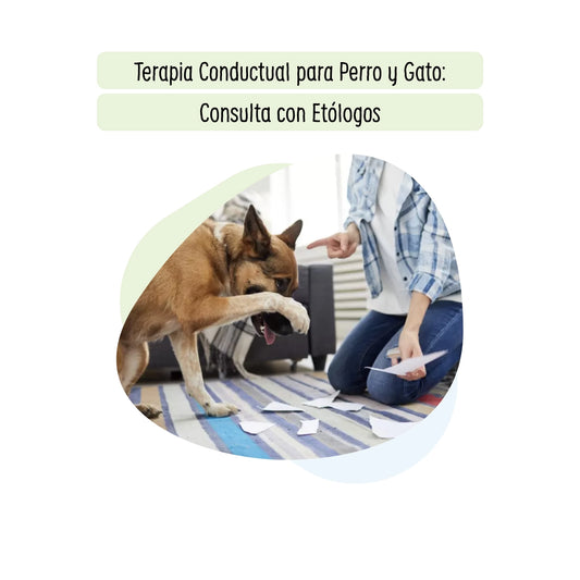 Terapia Conductual para Perro y Gato: Consulta con Etólogos