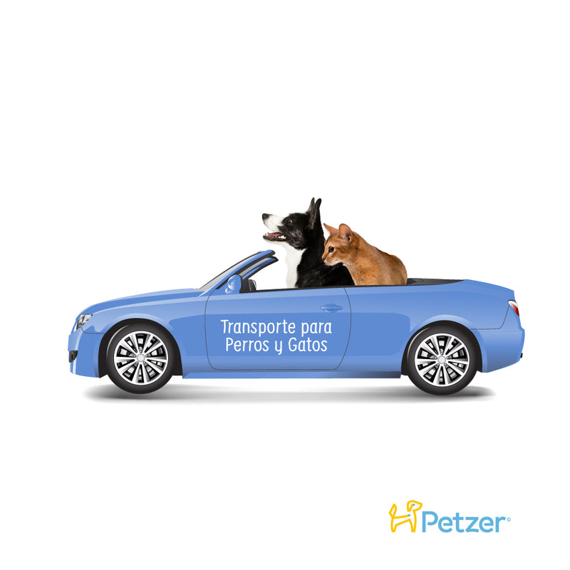 Transporte para Perros y Gatos en CDMX | Petzer