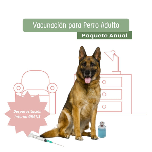 Vacunación a Domicilio para Perro Adulto. Incluye desparasitación interna GRATIS