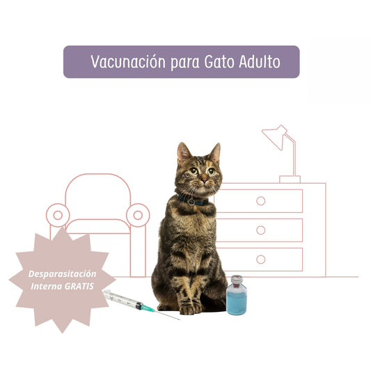 Vacunación & Desparasitación a Domicilio para Gato Adulto. Desparasitación Interna GRATIS.