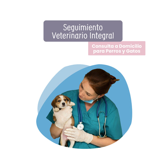 Seguimiento Veterinario Integral: Consulta a Domicilio para Perros y Gatos Petzer