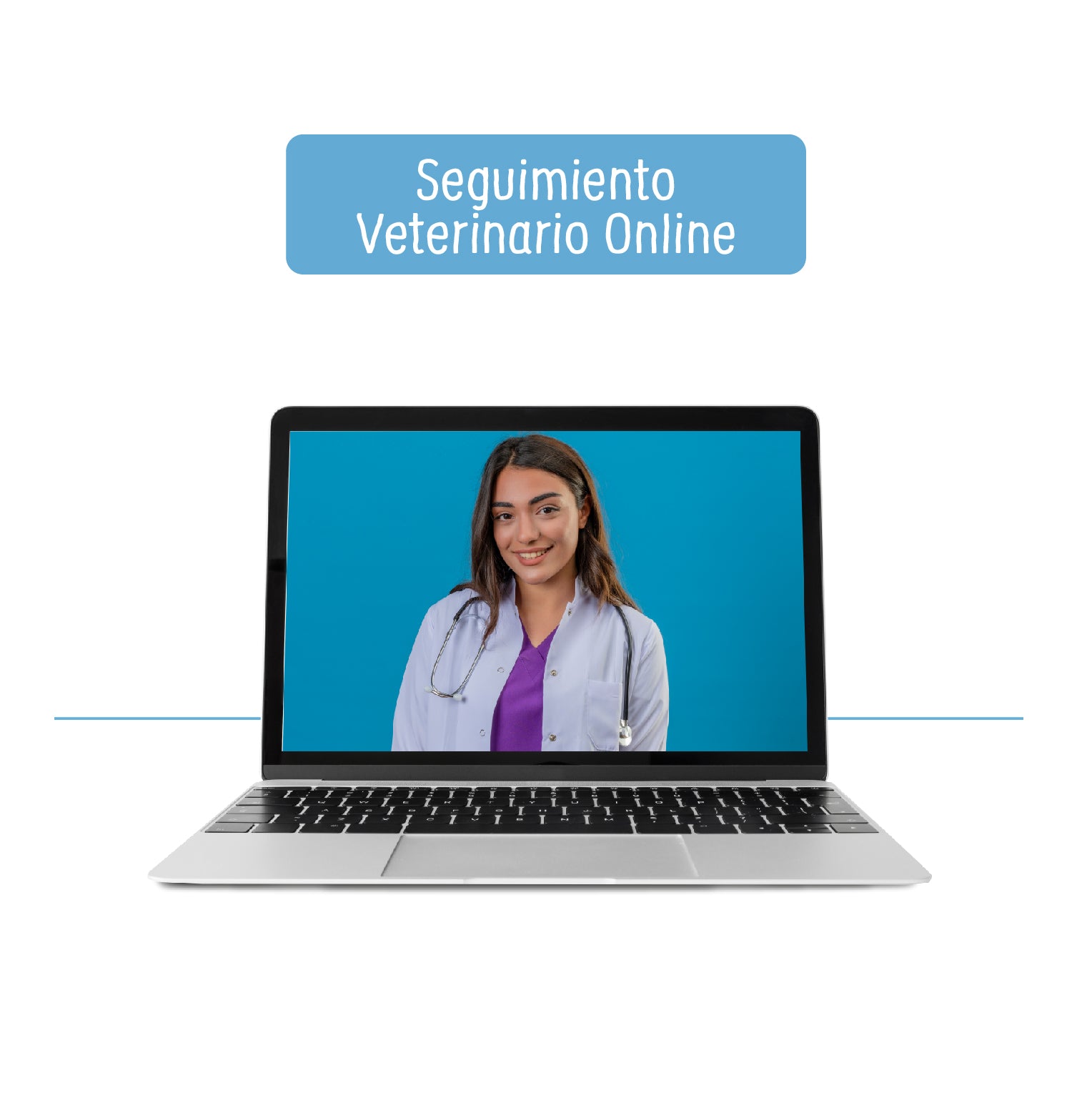 Seguimiento Veterinario Online Petzer