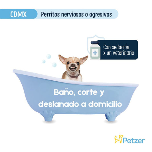 Perro siendo bañado y arreglado a domicilio en CDMX, servicio especial para perros seniors, nerviosos o agresivos.