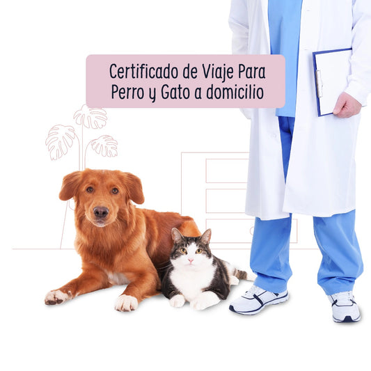 Certificado de Viaje Para Perro y Gato a domicilio