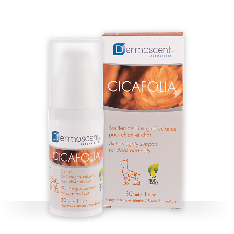 Suero-Gel Dermoscent Cicafolia | 30ml