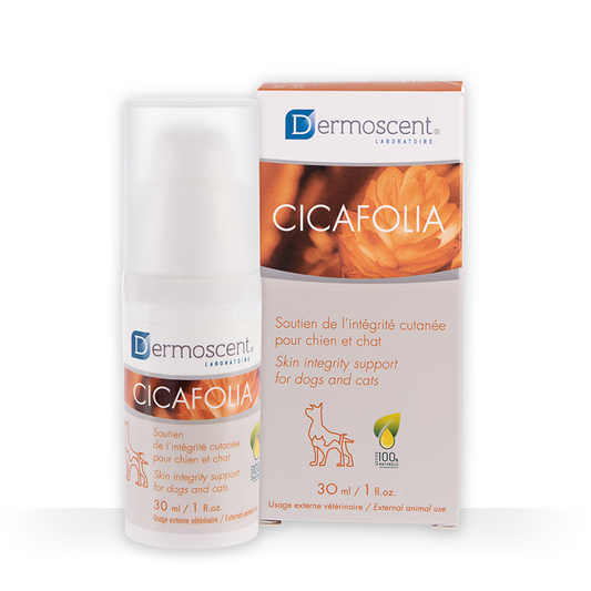 Suero-Gel Dermoscent Cicafolia | 30ml