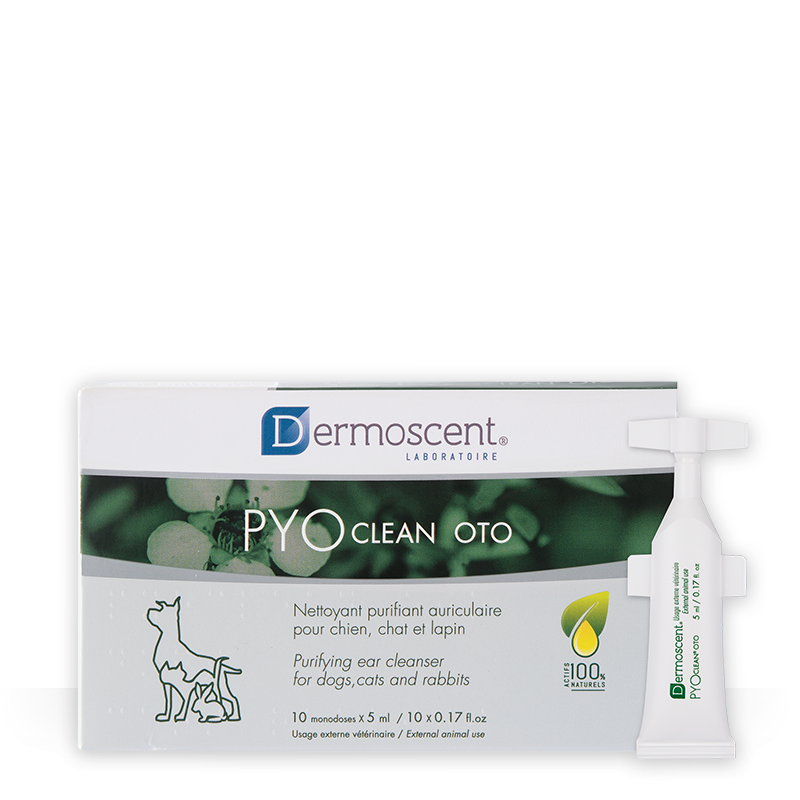 Pipetas Dermoscent PYOclean Oto | 5 ml