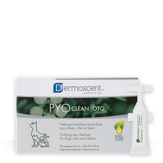 Pipetas Dermoscent PYOclean Oto | 5 ml