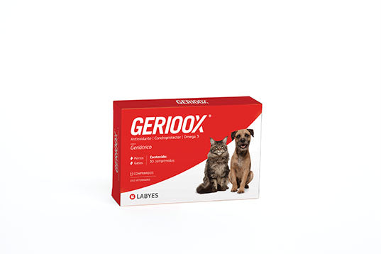 Suplemento Gerioox | Mascotas Senior