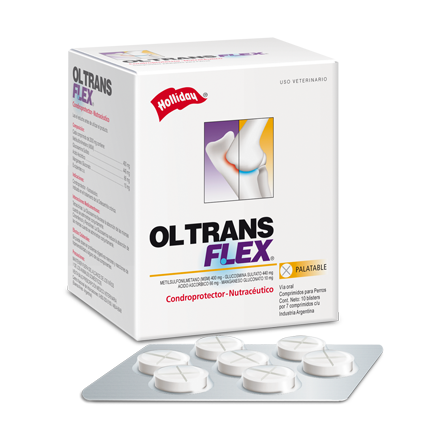 Condoprotector Ol-Trans Flex | Comprimidos Palatables