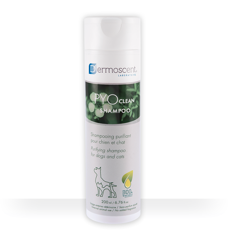 Shampoo Pyoclean | Purificante