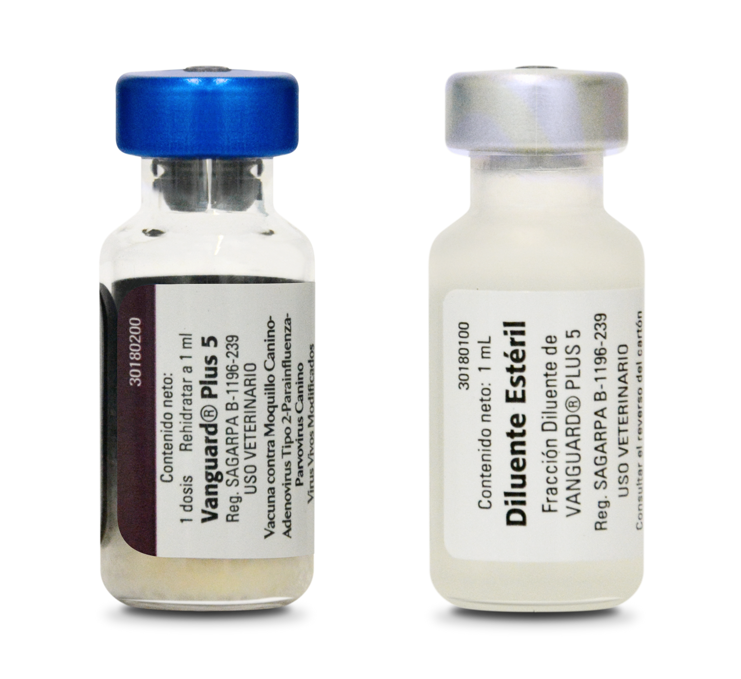 Vacuna Vanguard Plus 5 | Moquillo, Parainfluenza, Parvovirus