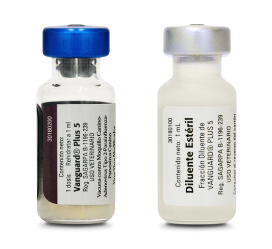 Vacuna Vanguard Plus 5 | Moquillo, Parainfluenza, Parvovirus a Domicilio
