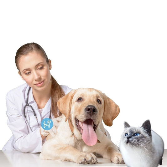 Tomas de Muestra y Pruebas de Laboratorio | Servicios Veterinarios a Domicilio para Perros y Gatos Veterinarios Host a Pet© 