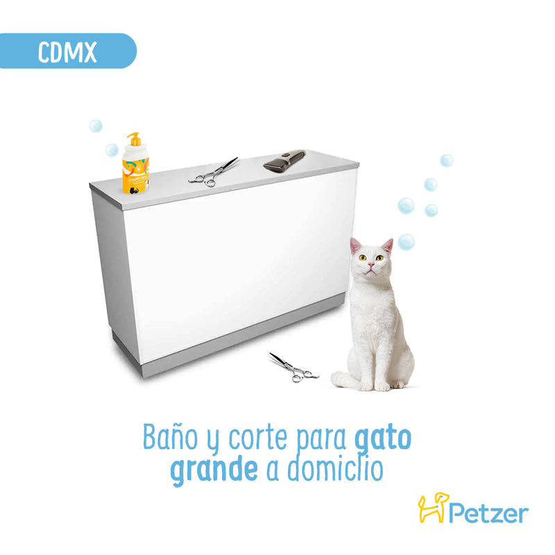 Baño y Corte de Pelo a Domicilio para Gatos Grandes | Servicios de estética a domicilio para mascotas | Petzer