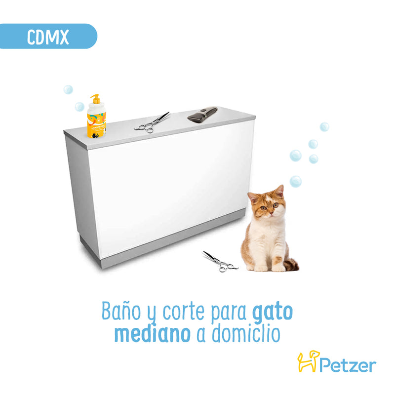 Baño y Corte de Pelo a Domicilio para Gatos Medianos | CDMX | Estilistas a domicilio | Petzer