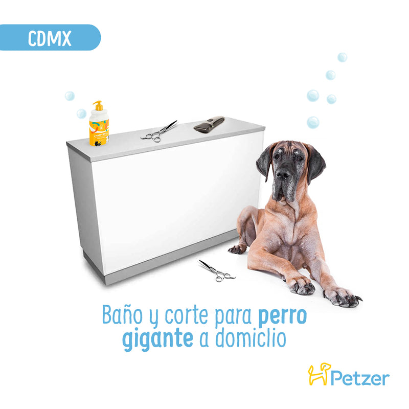 Baño y Corte de Pelo a Domicilio para Perros Gigantes | CDMX | Estilistas a domicilio | Petzer