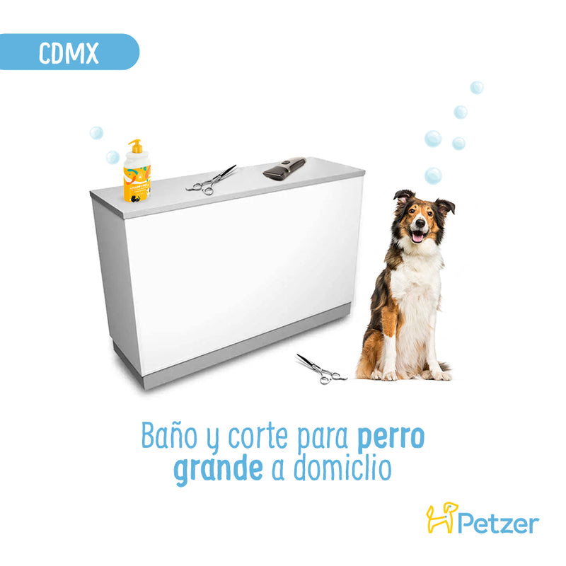 Baño y Corte de Pelo a Domicilio para Perros Grandes | CDMX | Estilistas a domicilio | Petzer