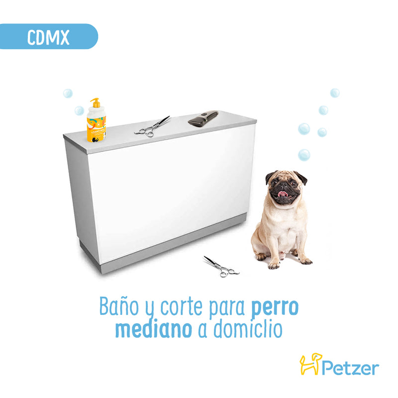 Baño y Corte de Pelo a Domicilio para Perros Medianos | CDMX | Estilistas a domicilio | Petzer