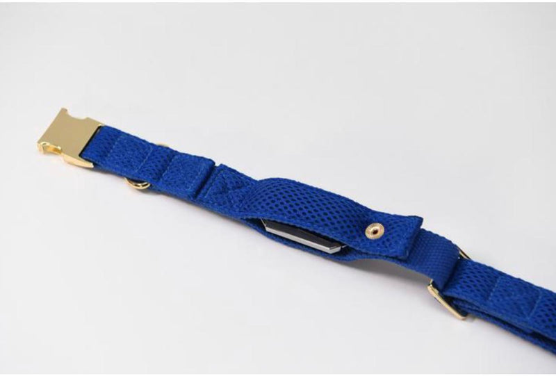 Collar para Perro o Gato con GPS Resistente al Agua Vaax Azul Mesh | Envío a domicilio CDMX | Disponible en Petzer 