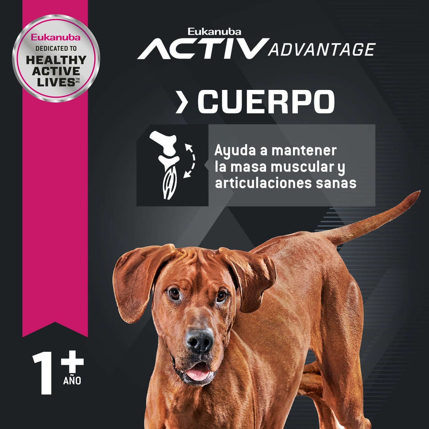 Bulto de Croquetas Perro Adulto Eukanuba Razas Grandes 15kg | Alimento Seco Perros a domicilio CDMX | Disponible en Petzer.mx
