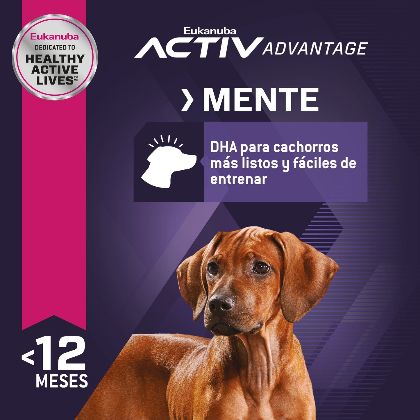 Bulto de Croquetas Perro Cachorro Eukanuba Razas Grandes 7.3kg | Alimento Seco Perros a domicilio CDMX | Disponible en Petzer.mx