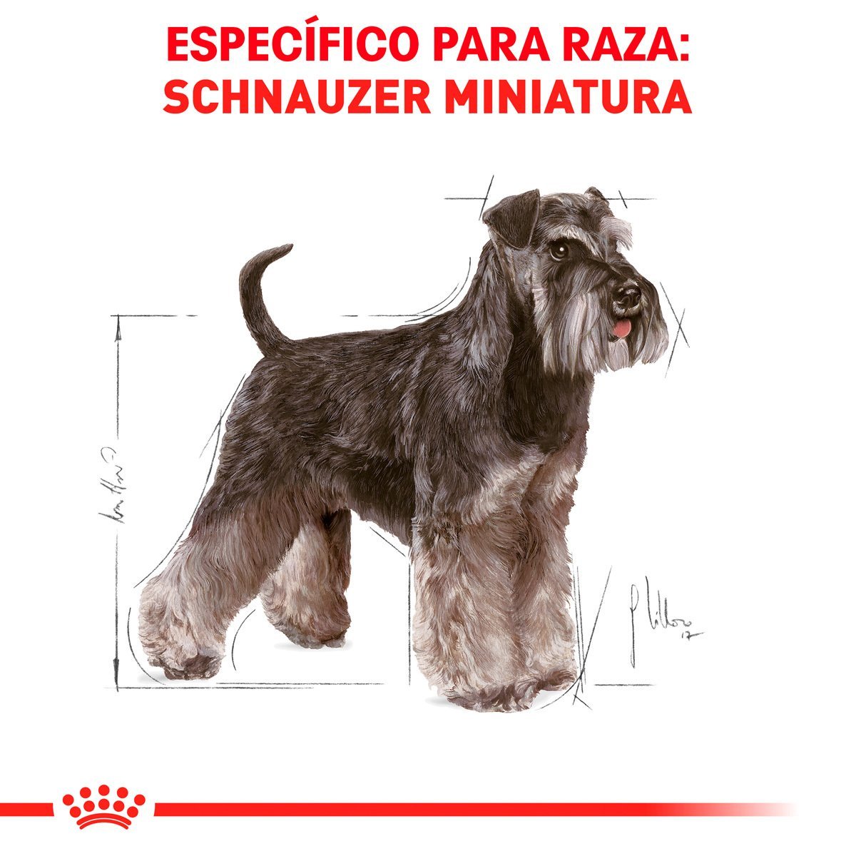 Croqueta para Perro Schnauzer Miniatura Adulto Royal Canin de 4.54kg Alimento Seco Perros Royal Canin 