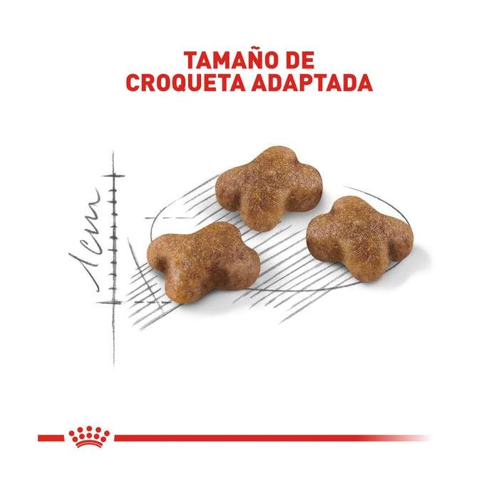 Croqueta para Gato Cachorro Royal Canin Kitten Chaton 3kg Alimento Seco Gatos Royal Canin 