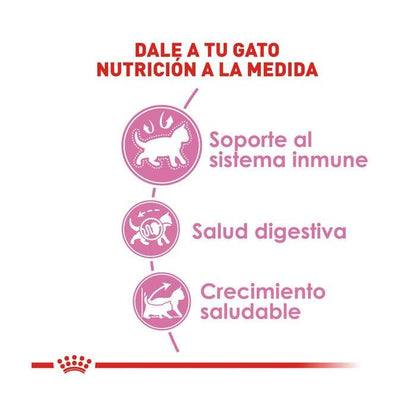 Croqueta para Gato Cachorro Royal Canin Kitten Chaton 3kg Alimento Seco Gatos Royal Canin 