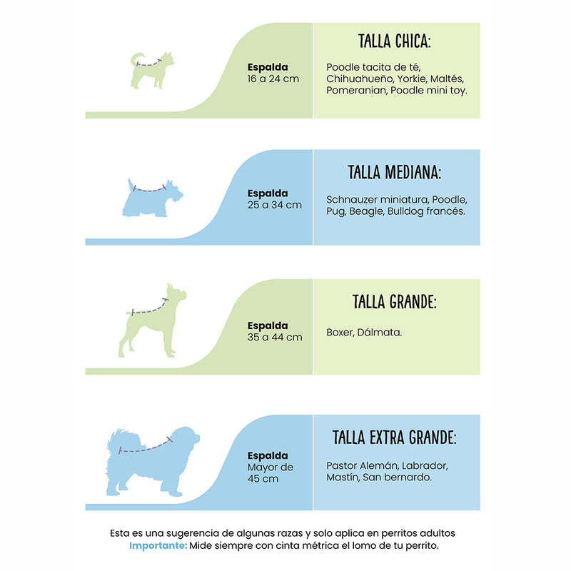 Baño a Domicilio para Perro Gigante de Pelo Corto CDMX | Estética a domicilio para mascotas | Petzer