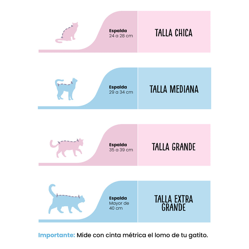 Baño y Deslanado a Domicilio para Gato Mediano | Servicios de estética a domicilio para mascotas | Petzer