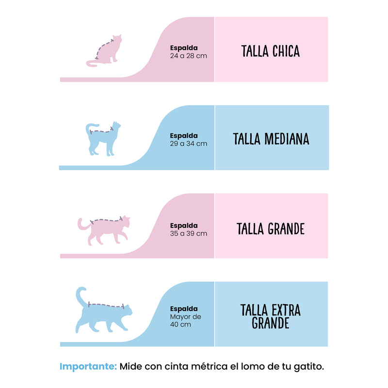 Baño a Domicilio para Gato Chico de Pelo Corto o Cachorro | CDMX