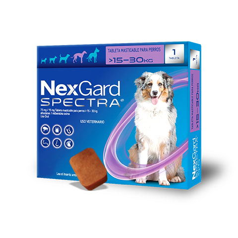 Nexgard Spectra Desparasitante Masticable Para Perro | Farmacia a domicilio CDMX | Petzer